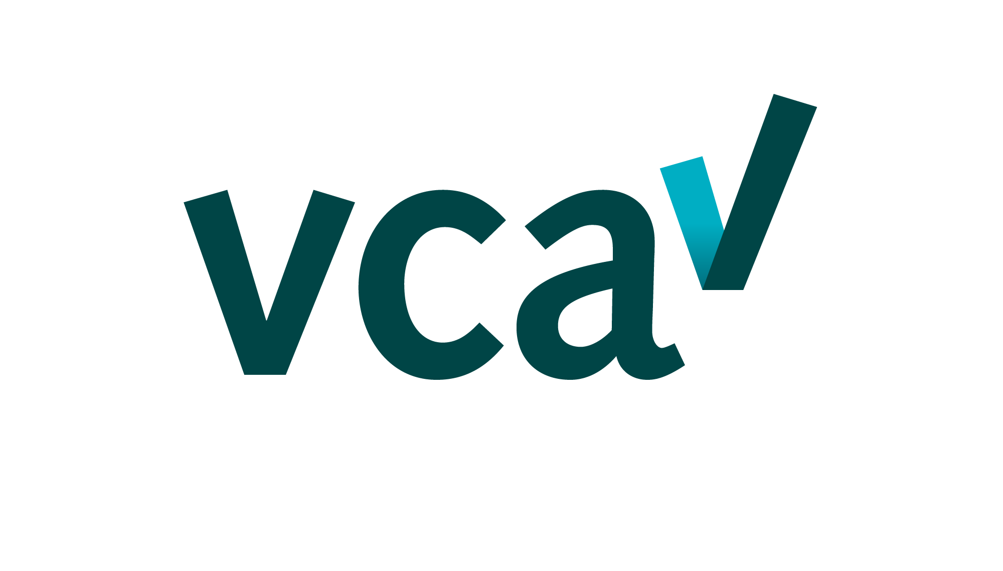 BPRvisie - VCA_certificaat