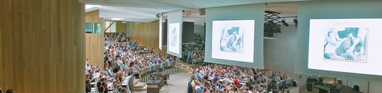 Stemsysteem