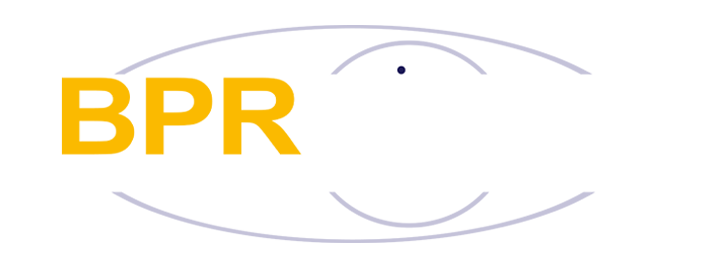 BPRvisie